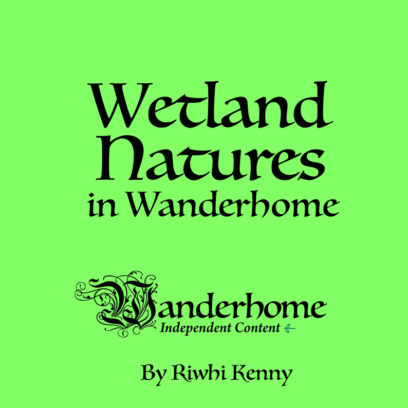 Wetland Natures in Wanderhome