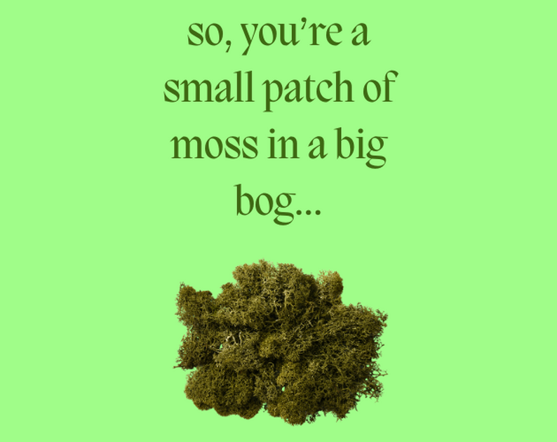 so, you’re a small patch of moss in a big bog